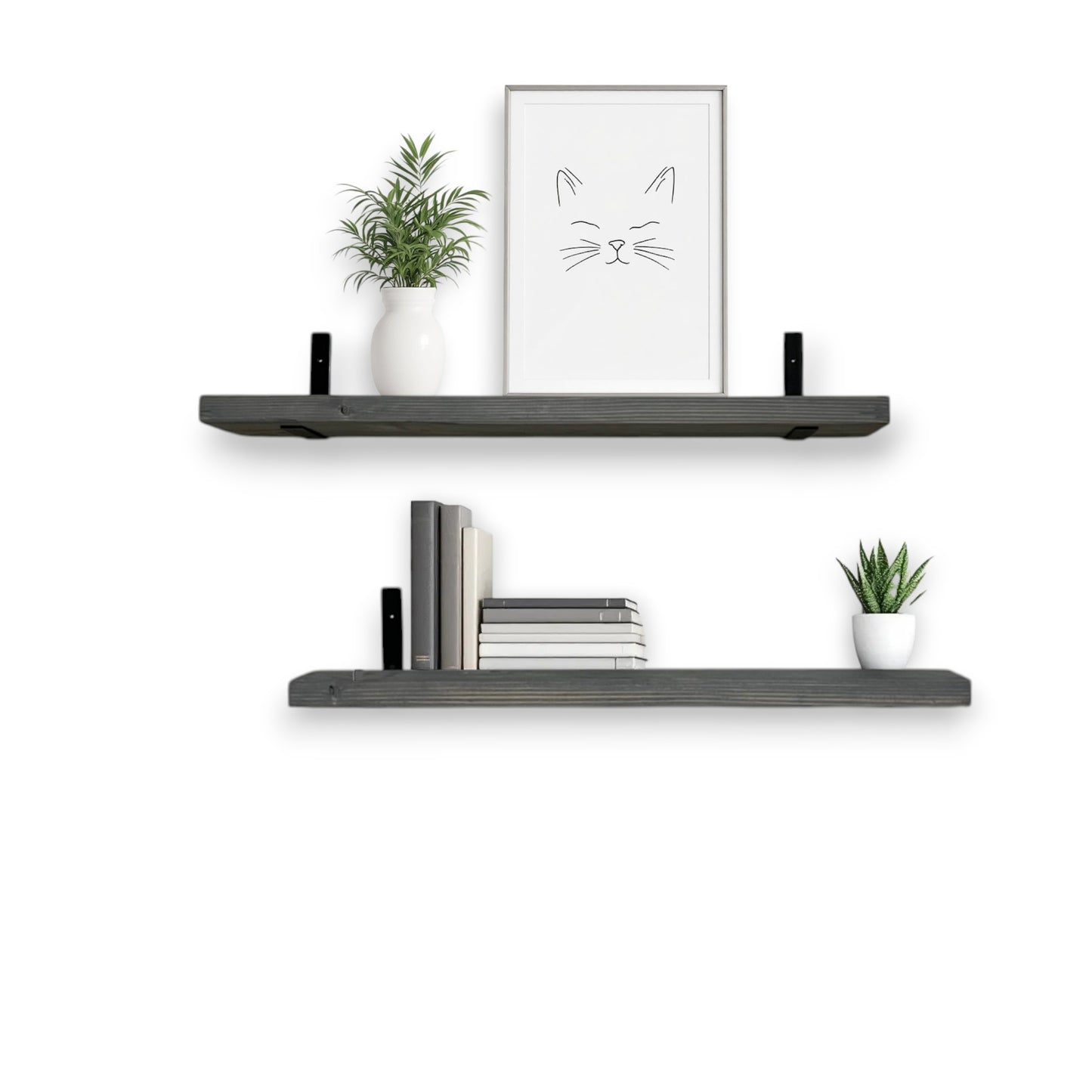 Two dark wooden shelves with books, a plant, and a framed picture on a white background